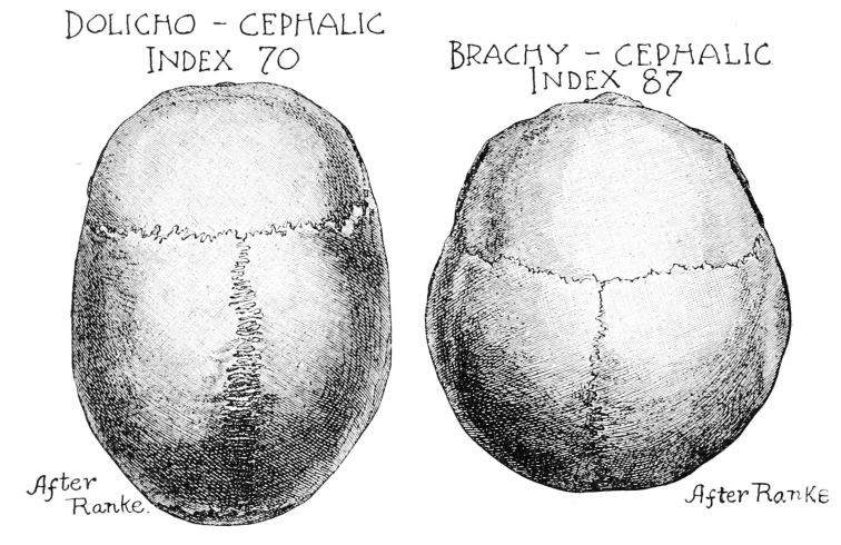 Mesocephalic indexes - an illustration of racial science from the Popular Science Monthly Volume 50, 1896 (source: Wikimedia Commons)